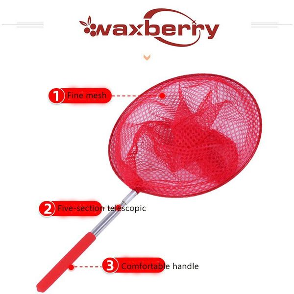 children's insect fishing nets retractable cheat sheet kids toys outdoor lobster crab catcher accessories
children's insect fishing nets retractable cheat sheet kids toys outdoor lobster crab catcher accessories
