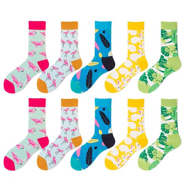 elbow & knee pads 5 pairs of colorful sport cotton socks cute simple fitness stockings for women girl men, Black;gray
elbow & knee pads 5 pairs of colorful sport cotton socks cute simple fitness stockings for women girl men, Black;gray