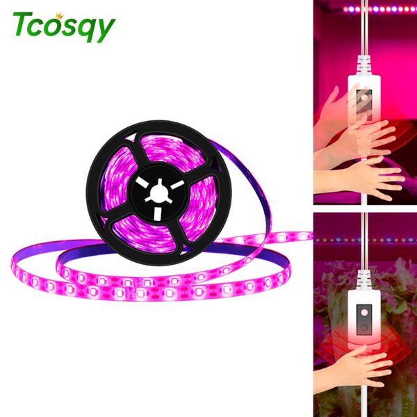 grow lights tcosqy usb hand sweep plant growth light belt to promote posynthesis full spectrum waterproof 0.5m1m2m3m low voltage 5v2835
grow lights tcosqy usb hand sweep plant growth light belt to promote posynthesis full spectrum waterproof 0.5m1m2m3m low voltage 5v2835
