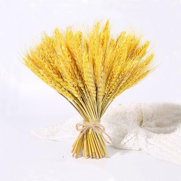 decorative flowers & wreaths 23cm real wheat ear flower natural dried for wedding party diy table decor craft scrapbook home bouquet
decorative flowers & wreaths 23cm real wheat ear flower natural dried for wedding party diy table decor craft scrapbook home bouquet