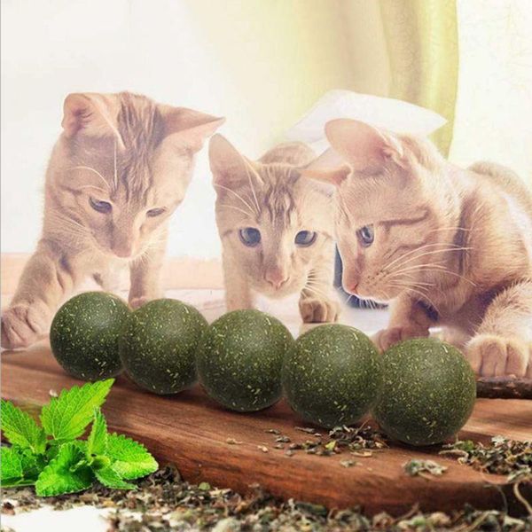 cat toys pet catnip ball cats teeth cleaning improve the appetite chew healthy safe edible treating
cat toys pet catnip ball cats teeth cleaning improve the appetite chew healthy safe edible treating