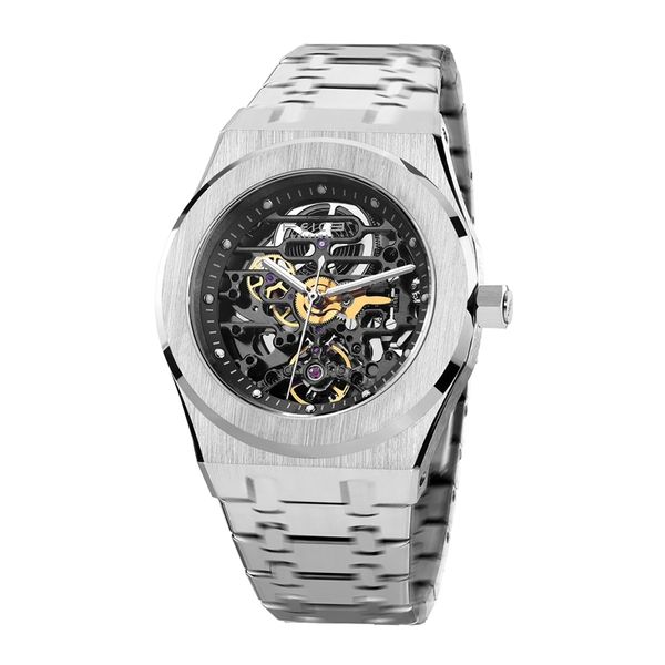 feice sports automatic watch men's skeleton mechanical watch waterproof openwork sapphire crystal wrist watches for men fm019210407, Slivery;brown
feice sports automatic watch men's skeleton mechanical watch waterproof openwork sapphire crystal wrist watches for men fm019210407, Slivery;brown