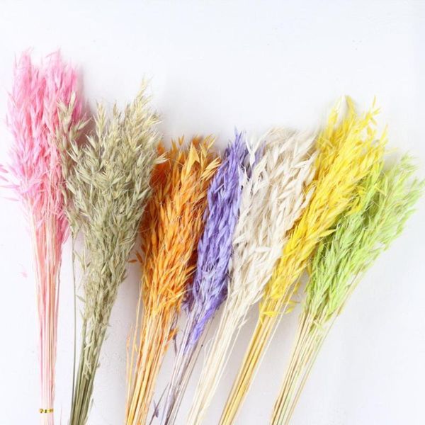 decorative flowers & wreaths 1 bunch wheat flower decoration oat grass dried for wedding party home decor diy craft props
decorative flowers & wreaths 1 bunch wheat flower decoration oat grass dried for wedding party home decor diy craft props