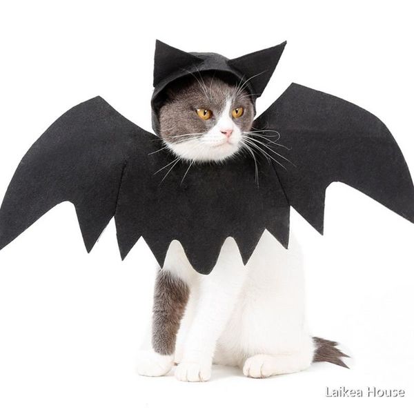 halloween pet bat wings outfit headwear for dogs cats black felt cloth 48x18cm decorations accessories cat costumes
halloween pet bat wings outfit headwear for dogs cats black felt cloth 48x18cm decorations accessories cat costumes
