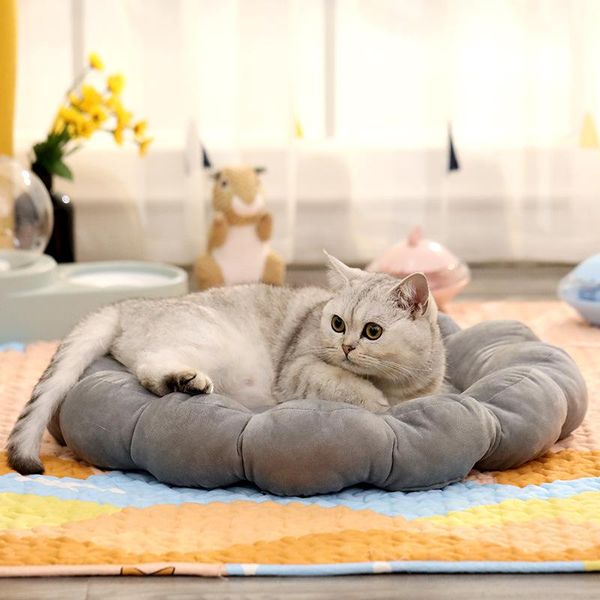 cat beds & furniture flower shaped mat bed soft basket for dogs cute cushion indoor plush kitten puppy sleeping ghj87
cat beds & furniture flower shaped mat bed soft basket for dogs cute cushion indoor plush kitten puppy sleeping ghj87