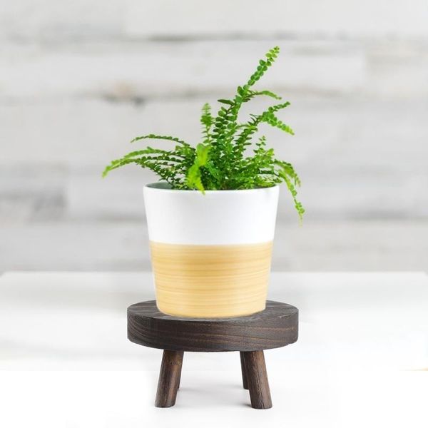 planters & pots garden plant pot riser wood rack display stand flower height 6cm indoor home 1pcs decor outdoor wooden holder
planters & pots garden plant pot riser wood rack display stand flower height 6cm indoor home 1pcs decor outdoor wooden holder