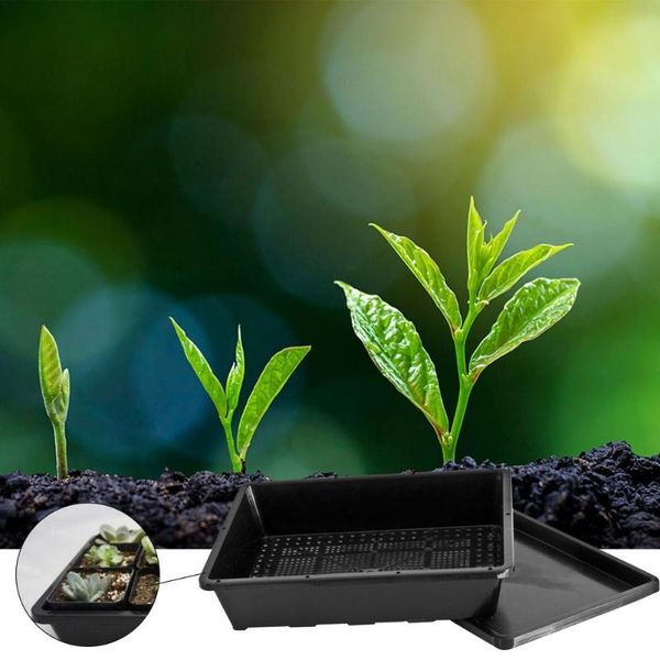 planters & pots 1 set seedling tray garden nursery pot with humidity-adjustable plant starter kits for seed growth and germination box
planters & pots 1 set seedling tray garden nursery pot with humidity-adjustable plant starter kits for seed growth and germination box