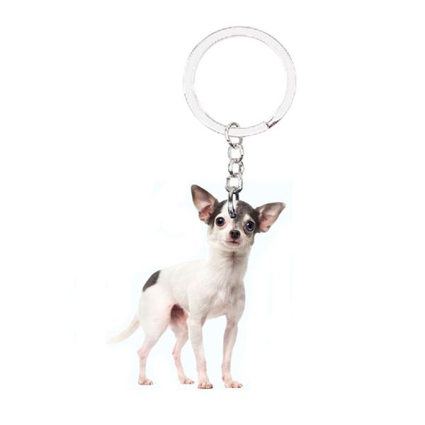 chihuahua dog keychains pet not 3d animal bag accessories charms cute ring llaveros for girls xmas gift idea plat acrylic chain apparel
chihuahua dog keychains pet not 3d animal bag accessories charms cute ring llaveros for girls xmas gift idea plat acrylic chain apparel