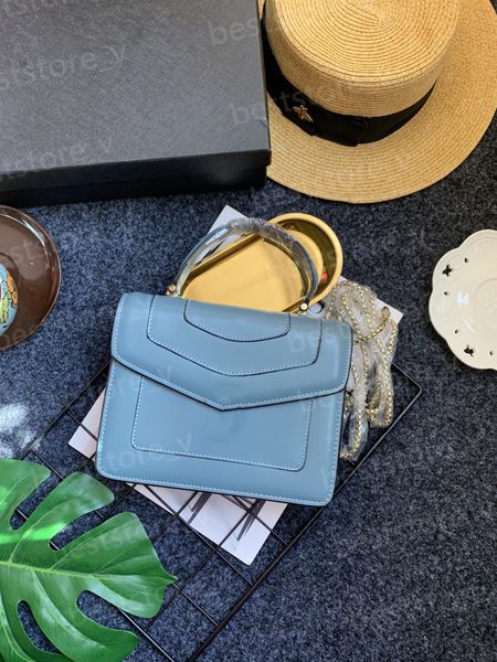 2021 luxury fashion messenger shoulder bag luxuryhandbag metal chain high-end designerbag
2021 luxury fashion messenger shoulder bag luxuryhandbag metal chain high-end designerbag