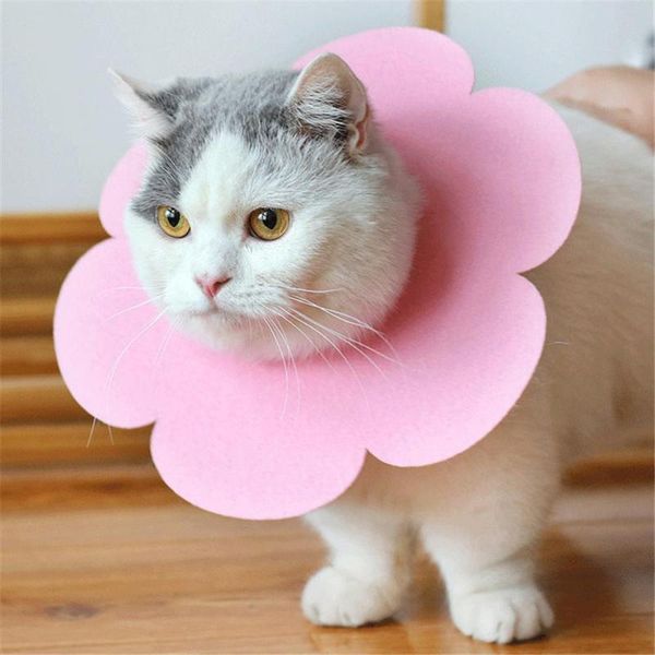 cat costumes pet protection cover dog anti-bite elizabeth collar cute recovery wound healing cone protective prevent bite ring
cat costumes pet protection cover dog anti-bite elizabeth collar cute recovery wound healing cone protective prevent bite ring