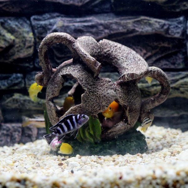 decorations mysterious egyptian cave jar with moss aquarium decoration for cichlid hiding fish tank artificial bonsai vase ornament
decorations mysterious egyptian cave jar with moss aquarium decoration for cichlid hiding fish tank artificial bonsai vase ornament