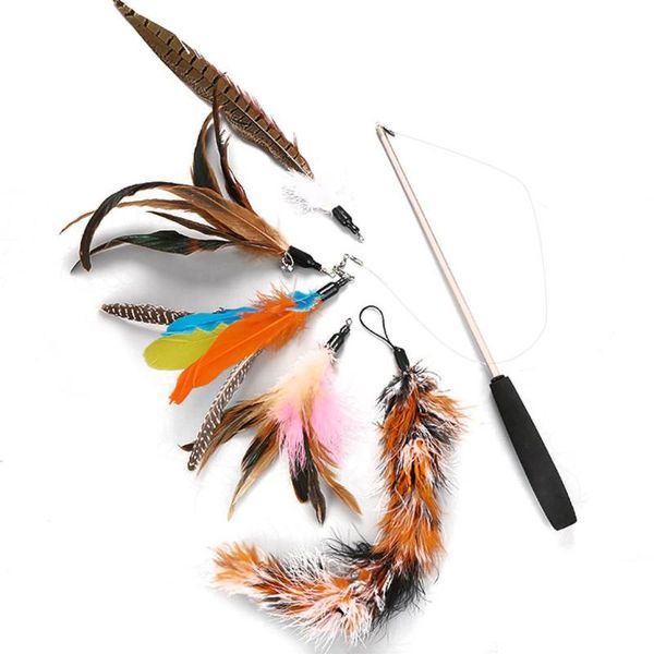 6pcs pet cat toy fishing rod retractable feathers funny pole with five replacement head interactive toys for cats kitten
6pcs pet cat toy fishing rod retractable feathers funny pole with five replacement head interactive toys for cats kitten
