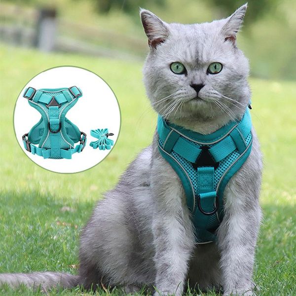 cat collars & leads pet harness + leash set training walking for small cats dogs collar adjust leashes vest reflective breathable
cat collars & leads pet harness + leash set training walking for small cats dogs collar adjust leashes vest reflective breathable