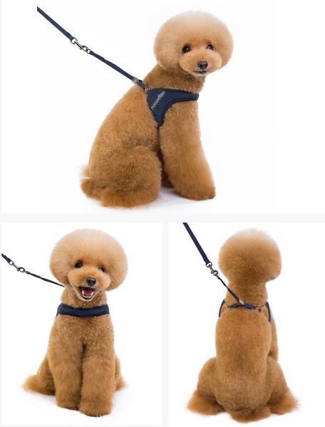 dog harness with leash summer pet adjustable reflective vest walking lead for puppy polyester mesh collars & leashes
dog harness with leash summer pet adjustable reflective vest walking lead for puppy polyester mesh collars & leashes