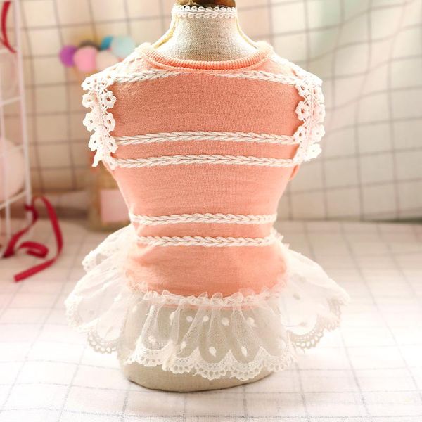 dog apparel clothes puppy teddy schnauzer pomeranian chihuahua bichon frise cute pet twist lace skirt
dog apparel clothes puppy teddy schnauzer pomeranian chihuahua bichon frise cute pet twist lace skirt