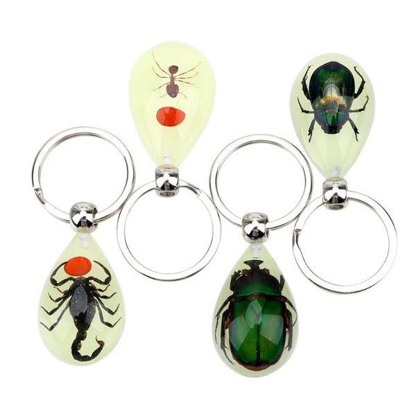 keychains artificial amber insect car keyring luminous scorpion ant key chains creative keychain car-styling, Silver
keychains artificial amber insect car keyring luminous scorpion ant key chains creative keychain car-styling, Silver