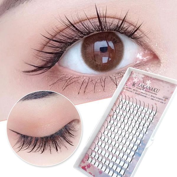 premade eyelash spike lashes russian volume fans 0.07 c/d 8-15 individual eyelashes makeup fan spikes extension false1
premade eyelash spike lashes russian volume fans 0.07 c/d 8-15 individual eyelashes makeup fan spikes extension false1