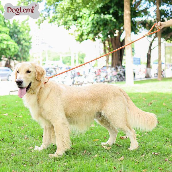 2in1 dog leash round cotton dogs lead rope colorful pet long leashes belt outdoor walking training leads ropes collars &
2in1 dog leash round cotton dogs lead rope colorful pet long leashes belt outdoor walking training leads ropes collars &