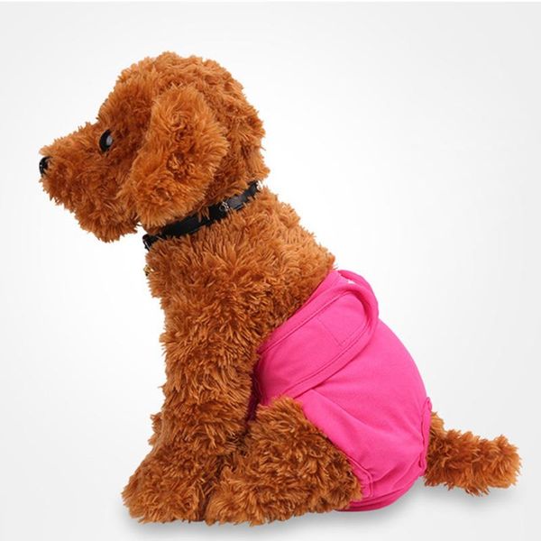 dog apparel 3pcs/pack durable shorts menstruation washable sanitary diaper physiological pants pet panties female cotton blend underwear
dog apparel 3pcs/pack durable shorts menstruation washable sanitary diaper physiological pants pet panties female cotton blend underwear