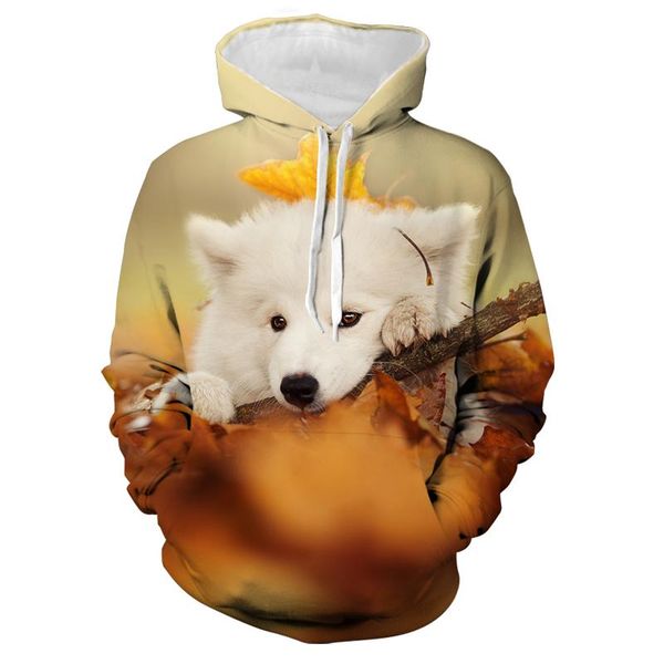 teens 3d hoodies personality oversized samoyed wolf pullover boy girl print sweatshirt harajuku autumn winter hoodie men's & sweatshirt, Black
teens 3d hoodies personality oversized samoyed wolf pullover boy girl print sweatshirt harajuku autumn winter hoodie men's & sweatshirt, Black