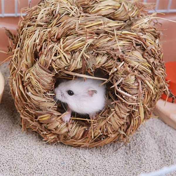 small animal supplies pet woven grass straw hamster cage nest house chew toy hedgehog bed for animals
small animal supplies pet woven grass straw hamster cage nest house chew toy hedgehog bed for animals