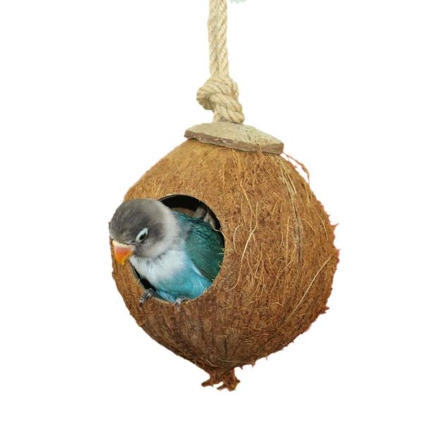 bird cages coconut house natural grass cage decorations toys pets supply rope summer diameter 13cm hanging parrot nest
bird cages coconut house natural grass cage decorations toys pets supply rope summer diameter 13cm hanging parrot nest