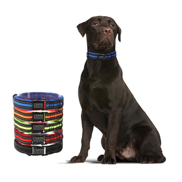 dog collars & leashes custom collar personalized pet tag name puppy cat nameplate id engraved reflective breathable mesh padded
dog collars & leashes custom collar personalized pet tag name puppy cat nameplate id engraved reflective breathable mesh padded