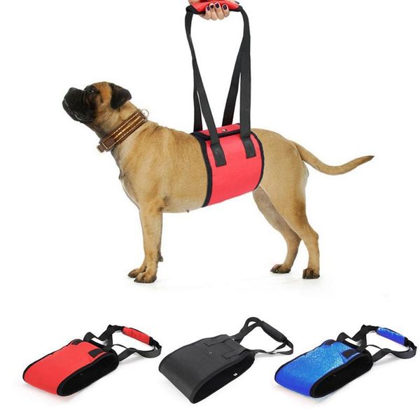dog collars & leashes pet harness lift support protection belt with handle strap supply leash harnesses
dog collars & leashes pet harness lift support protection belt with handle strap supply leash harnesses