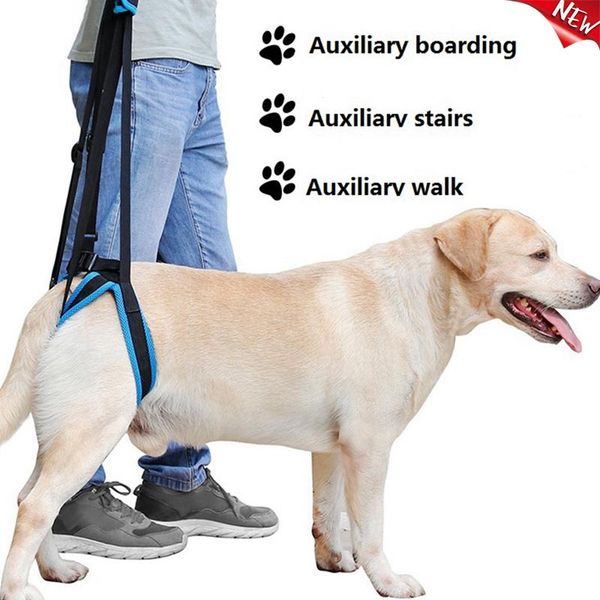 adjustable dog lift harness for back legs pet support sling help weak stand up dogs aid assist tool collars & leashes
adjustable dog lift harness for back legs pet support sling help weak stand up dogs aid assist tool collars & leashes