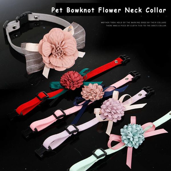 dog collars & leashes 2pcs daily wear festival party pet bowknot flower neck collar adjustable soft durable 3d strap cat puppy bow
dog collars & leashes 2pcs daily wear festival party pet bowknot flower neck collar adjustable soft durable 3d strap cat puppy bow