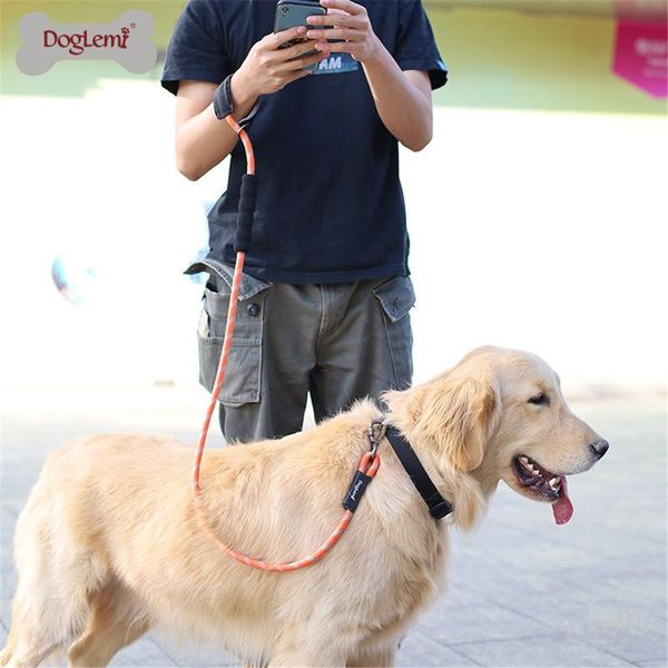 dog collars & leashes large rope wrist belt strap hands leash running with reflective pet traction collar
dog collars & leashes large rope wrist belt strap hands leash running with reflective pet traction collar