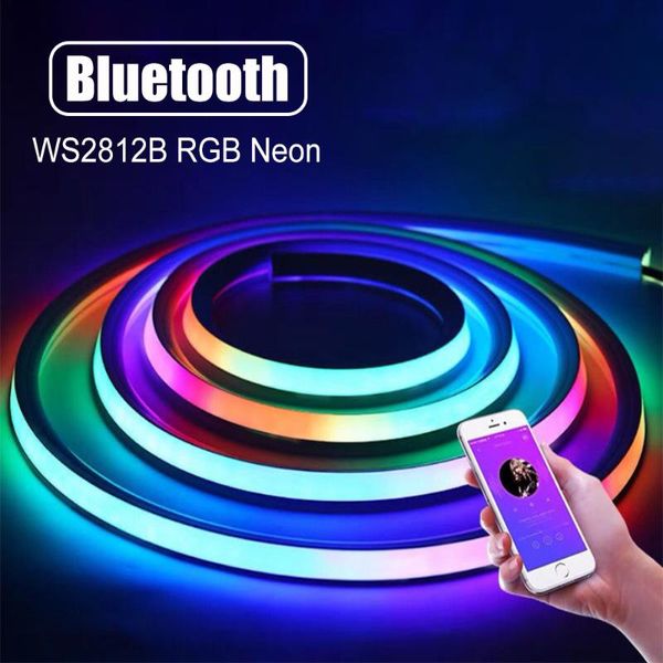 strips dimmable rgb neon strip ws2812b usb powered light with bluetooth app control waterproof outdoor led dc5v 1-5m
strips dimmable rgb neon strip ws2812b usb powered light with bluetooth app control waterproof outdoor led dc5v 1-5m