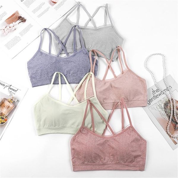 yoga women breathable sports bra female athletic gym anti-sweat shockproof padded running fitness workout crop outfit
yoga women breathable sports bra female athletic gym anti-sweat shockproof padded running fitness workout crop outfit
