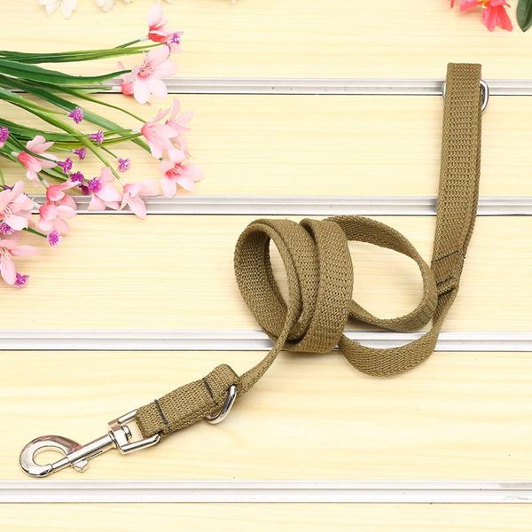 sturdy dog leash durable material pet supplies small and medium training portable safe comfortable collars & leashes
sturdy dog leash durable material pet supplies small and medium training portable safe comfortable collars & leashes