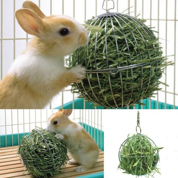 small animal supplies 1pcs hay manger ball stainless steel plating grass rack for guinea pig pet hamster
small animal supplies 1pcs hay manger ball stainless steel plating grass rack for guinea pig pet hamster