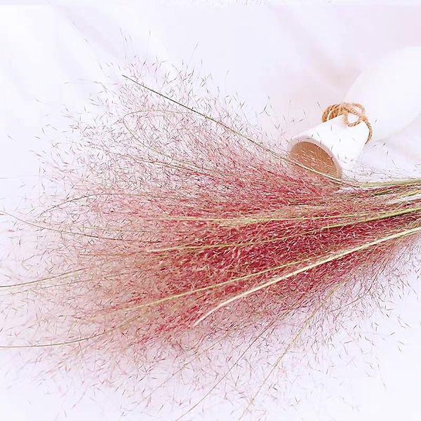 decorative flowers & wreaths powder messy grass natural dried flower bouquet for nordic living room decoration wedding arrangement mosquito
decorative flowers & wreaths powder messy grass natural dried flower bouquet for nordic living room decoration wedding arrangement mosquito