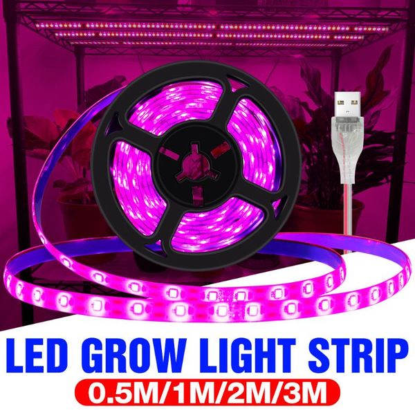 grow lights led lamp usb full spectrum plant strip 2835 smd 0.5m 1m 2m 3m fitolampy indoor flower seedling
grow lights led lamp usb full spectrum plant strip 2835 smd 0.5m 1m 2m 3m fitolampy indoor flower seedling
