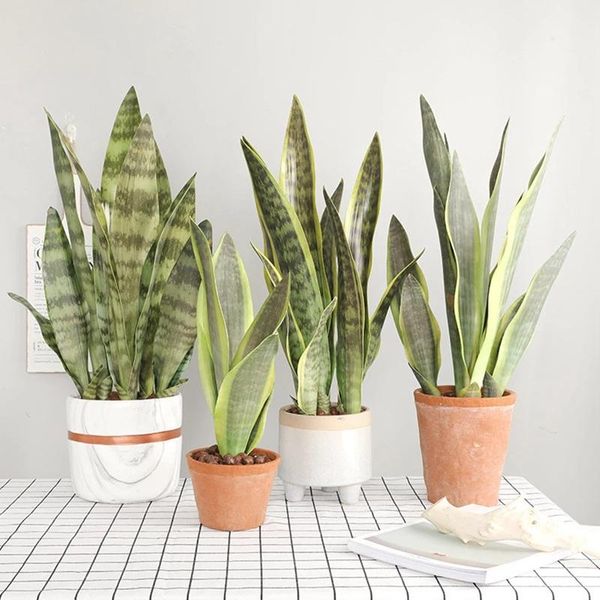 decorative flowers & wreaths artificial plants for home garden decoration sansevieria branch fake plastic leaves bonsai green wedding decor
decorative flowers & wreaths artificial plants for home garden decoration sansevieria branch fake plastic leaves bonsai green wedding decor