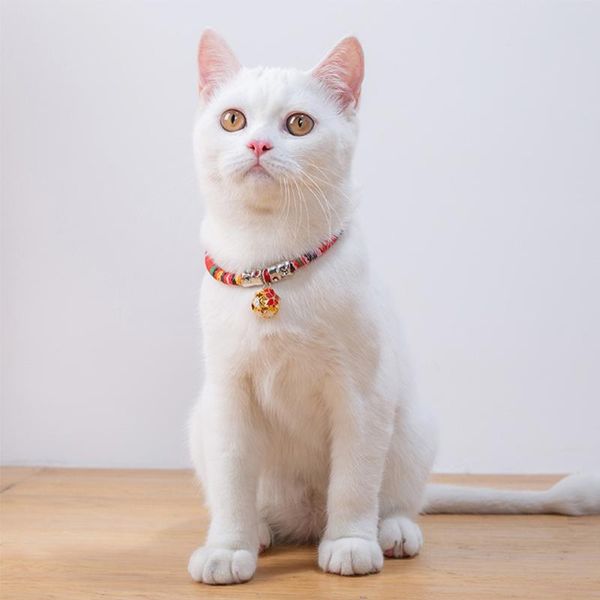 cat collars & leads collar pet head pattern supplies for accessories perro collier chien gato perros
cat collars & leads collar pet head pattern supplies for accessories perro collier chien gato perros