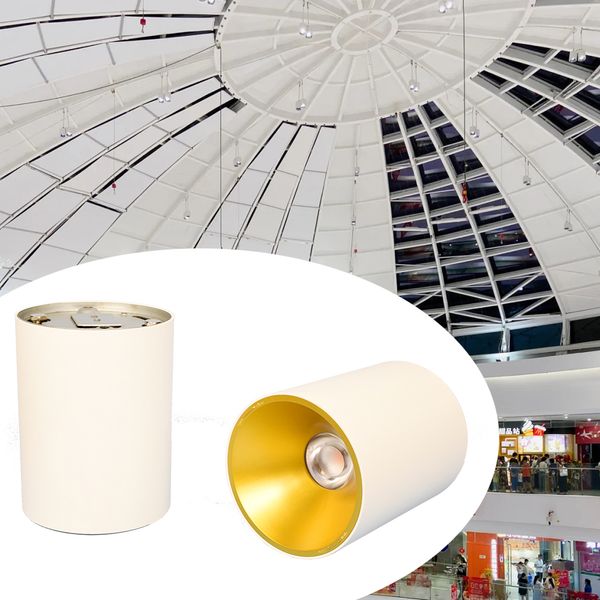 chrome gold reflector 20w 30w 40w high ceiling surface mounting downlights comercial led light fixing for exhibition hall public shopping ma
chrome gold reflector 20w 30w 40w high ceiling surface mounting downlights comercial led light fixing for exhibition hall public shopping ma