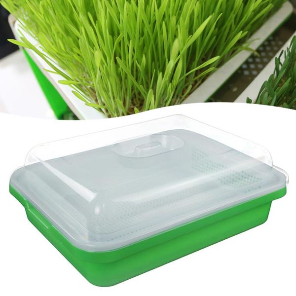 garden plant seedling plate thicken deepen vegetables sprouts planting seed pot planters & pots
garden plant seedling plate thicken deepen vegetables sprouts planting seed pot planters & pots