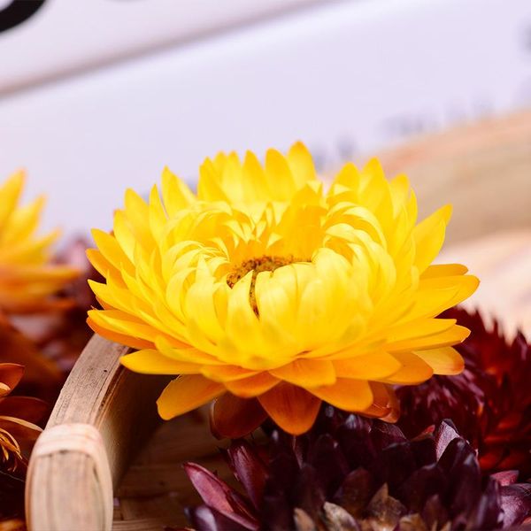 decorative flowers & wreaths natural plant chrysanthemum daisy dried flower head for diy floral home decoration party creative handmade work
decorative flowers & wreaths natural plant chrysanthemum daisy dried flower head for diy floral home decoration party creative handmade work