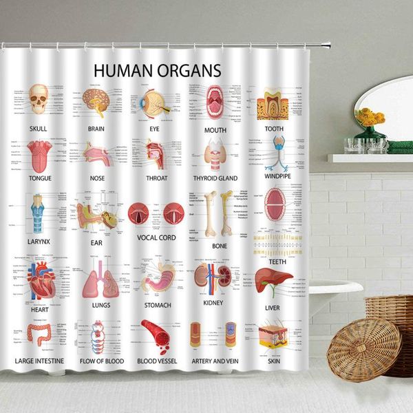 human anatomy structure research shower curtain organ brain bathroom decoration waterproof screen with hook curtains
human anatomy structure research shower curtain organ brain bathroom decoration waterproof screen with hook curtains