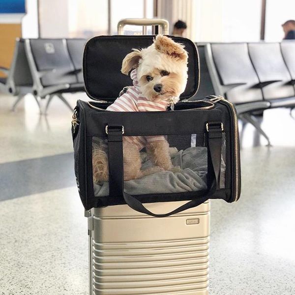 dog car seat covers pet carrier bags backpack portable messenger popeye outgoing travel handbag cat puppy packet breathable mesh small
dog car seat covers pet carrier bags backpack portable messenger popeye outgoing travel handbag cat puppy packet breathable mesh small