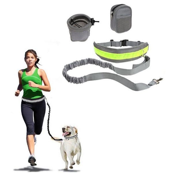 dog collars & leashes pet handsleash leads sets adjustable harness running jogging for dogs puppy supplies
dog collars & leashes pet handsleash leads sets adjustable harness running jogging for dogs puppy supplies