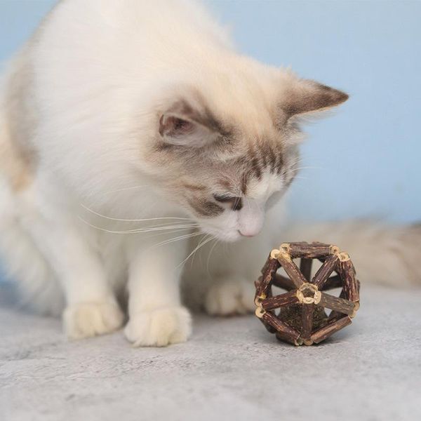 cat toys matatabi sticks with catnip ball organic natural plant silvervine teeth cleaning chew toy
cat toys matatabi sticks with catnip ball organic natural plant silvervine teeth cleaning chew toy