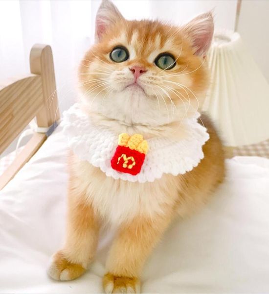 collar for cats cute dog necklace sweet cat accessories costumes 
collar for cats cute dog necklace sweet cat accessories costumes
