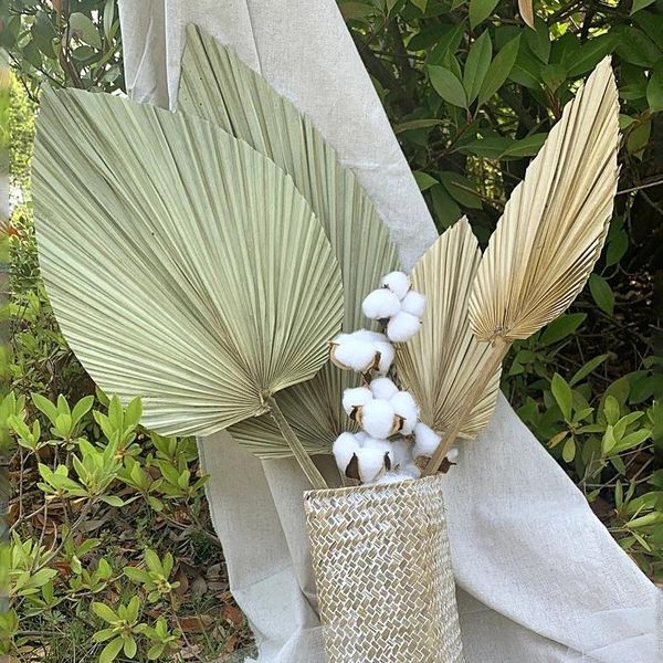 decorative flowers & wreaths palm fan leaf dried flower window party reception art wall hanging decoration wedding arch layout bedroom home
decorative flowers & wreaths palm fan leaf dried flower window party reception art wall hanging decoration wedding arch layout bedroom home
