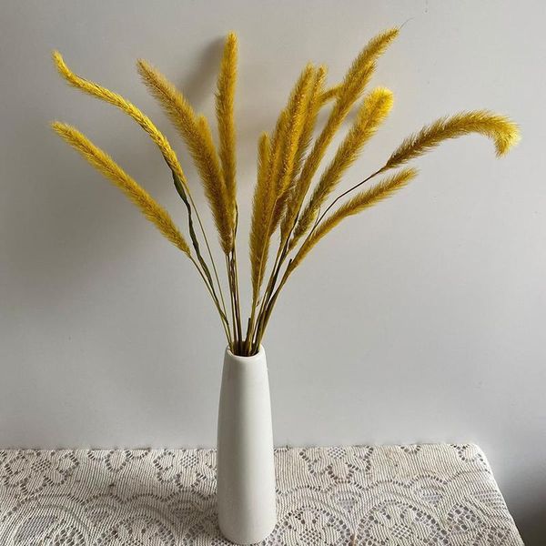 decorative flowers & wreaths 50pcs dried small pampas grass pantas artificiales para decoracion real plants home decor wedding decoration dr
decorative flowers & wreaths 50pcs dried small pampas grass pantas artificiales para decoracion real plants home decor wedding decoration dr