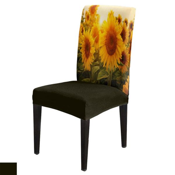 chair covers sunflower printed cover for dining room table chairs kitchen tablecloth home decor
chair covers sunflower printed cover for dining room table chairs kitchen tablecloth home decor